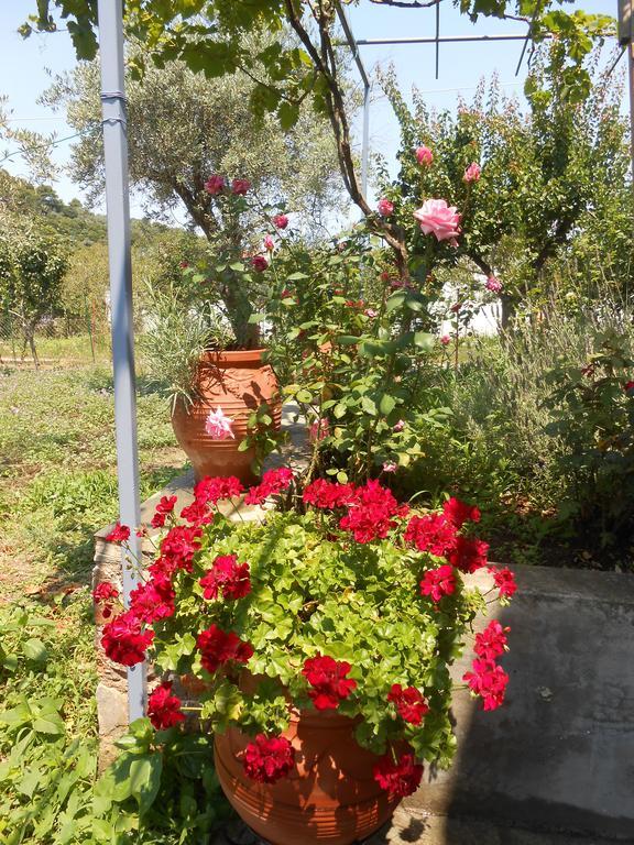 מלון סקופלוס טאון Dafnes מראה חיצוני תמונה